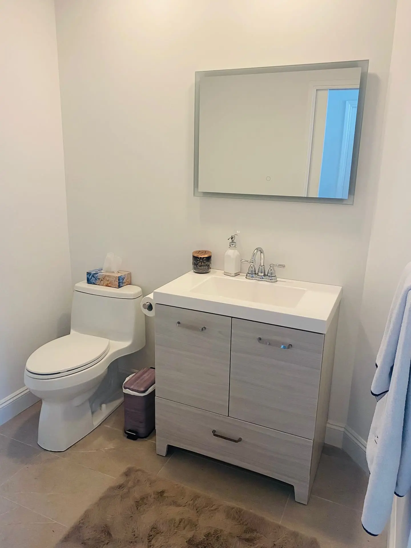 Bathroom vanity and toilet